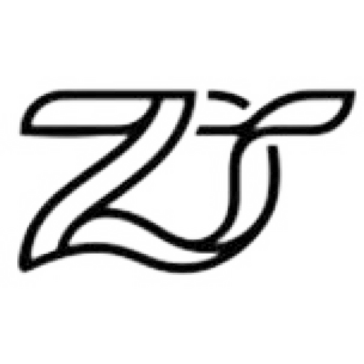 light logo